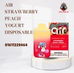 AIR Strawberry Peach Yogurt Disposable